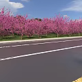 Scenic Road Facilities With Cherry Blossom Trees Signpost Street Lamps Road Arrows And Sea View