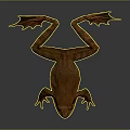 Orange Brown Frog Displaying Open Mouth Extended Limbs on Dark Background with Natural Amphibian Features