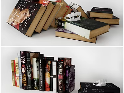 Stacked Books And Arranged Magazines With Colorful Covers For Reading Collection 3d model
