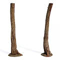 Natural Tree Trunks With Stone Bases Standing Vertically On White Background 3d model