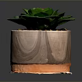 Green Leaf Succulent Plant in Wooden Pot with Orange Rim and Small Pebbles