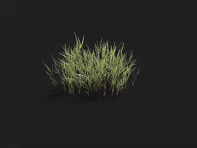 Green Grass Blades On Black Background With Fresh Lush Natural Growth 3d model