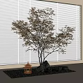 Indoor Landscape Featuring Red Leaf Tree Against White Blinds With Stone Lantern And Mat