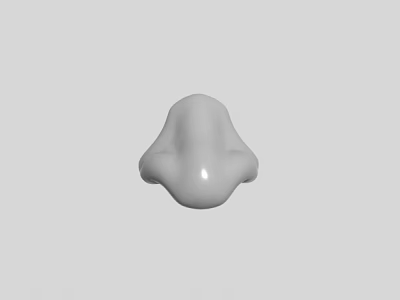 Realistic Digital 3D Nose Model Design For Game And Film Characters 3d model