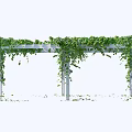 White Pergola Garden Ornament With Lush Green Vines and Hanging Foliage in Outdoor Space