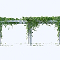 Corridor Climbing Vine Plant Grape Rack Flower Gallery Climbing Vine Plant Windmill Jasmine Grape 3d model