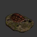 Reptile Turtle With Detailed Shell Resting On Mossy Rock With Small Grass 3d model