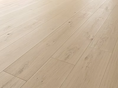 Light Colored Wooden Floor With Natural Grain And Smooth Surface Design 3d model