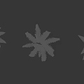 Collection Of Fern Plants With Various Frond Shapes And Lush Green Foliage