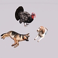 Animal Chicken Dog 3d model