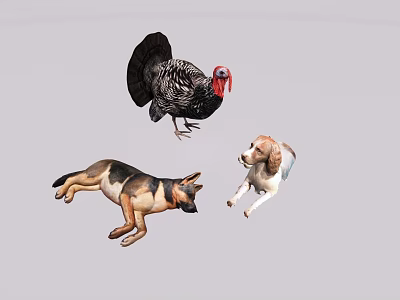 Turkey As Flying Animal Standing In Scene With Lying German Shepherd And Playful Puppy 3d model