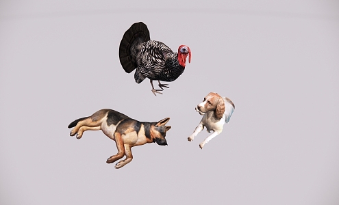 Animal Chicken Dog 3d model