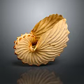 Light Colored Nautilus Shell With Intricate Spiral Texture And Smooth Surface