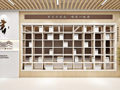 Campus Culture Wall Promoting Reading Culture With Organized Shelves And Book Fragrance 3d model