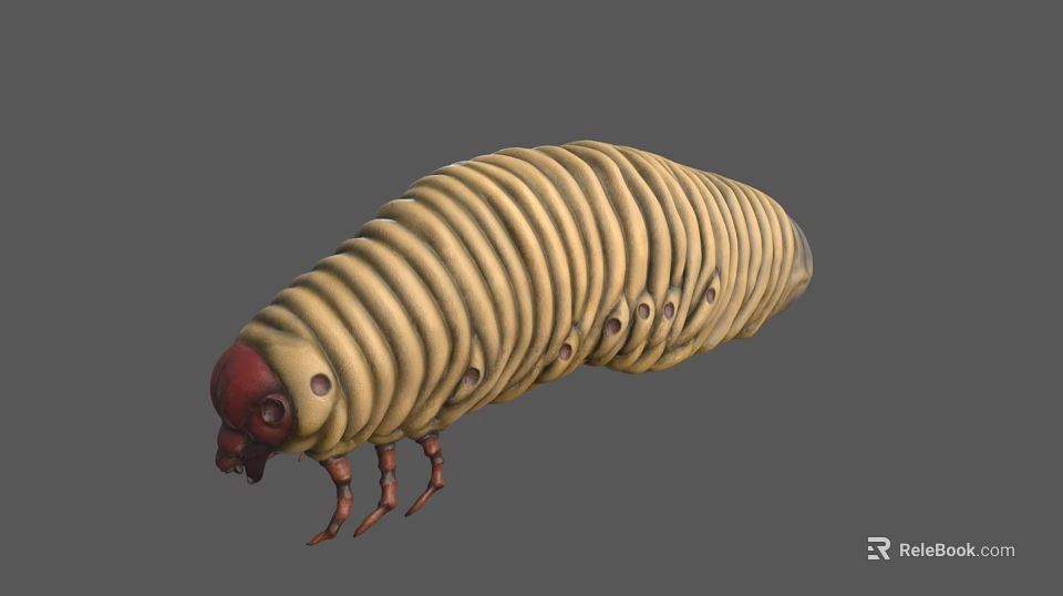 3D Rendered Caterpillar With Yellow Striped Body Red Head And Visible Legs 3d model 