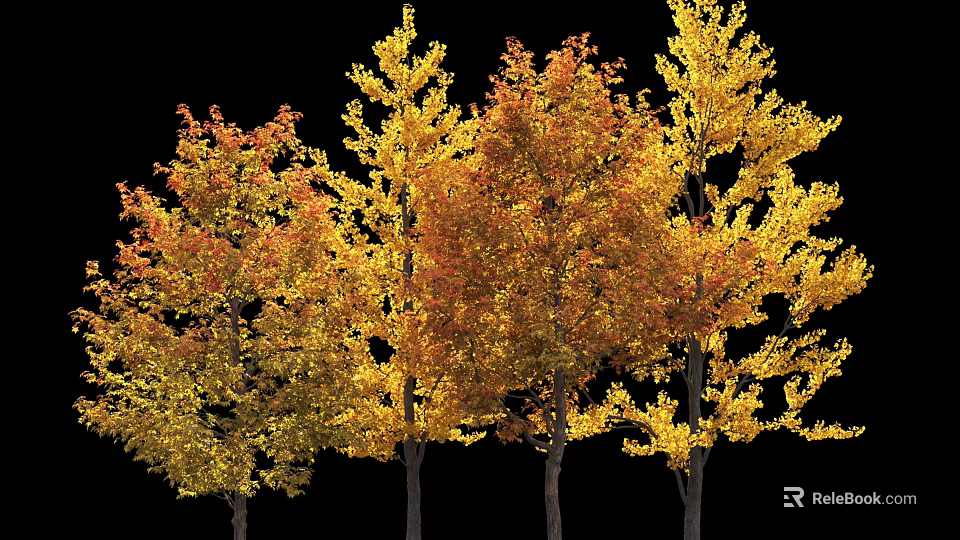 Autumn Arbor Trees With Golden Orange Leaves And Tall Dark Trunks 3d model 