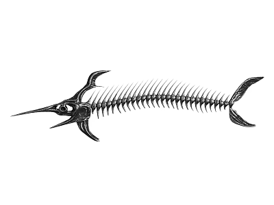Unique Fish Skeleton Design Wall Decor For Modern Home Interior Decoration 3d model