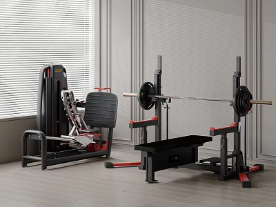 Modern Home Gym Fitness Equipment With Barbell Weight Bench Squat Rack And Weight Plates 3d model