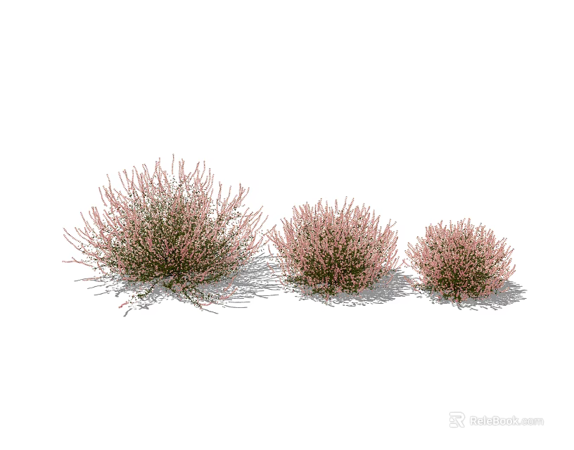 Pink Flowering Shrubs in Three Different Sizes with Shadow on White Background 3d model 