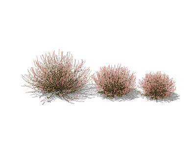 Pink Flowering Shrubs in Three Different Sizes with Shadow on White Background 3d model