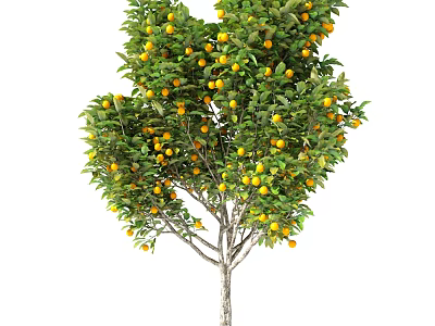 Lush Fruit Tree With Vibrant Green Leaves Yellow Fruits And Sturdy Brown Trunk 3d model
