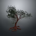 Tree With Lush Green Leaves And Exposed Roots Against Gray Background