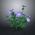 Decorative Garden Plant With Vibrant Purple Flowers And Lush Green Leaves For Outdoor Spaces