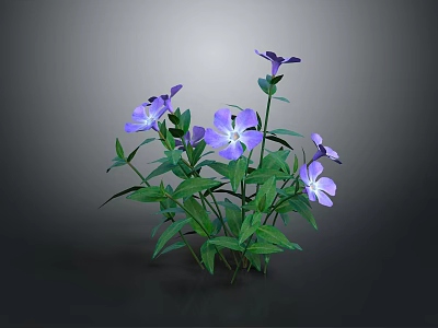 Decorative Garden Plant With Vibrant Purple Flowers And Lush Green Leaves For Outdoor Spaces 3d model