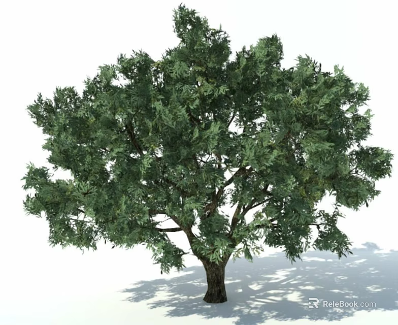 Arbor With Lush Green Foliage And Sturdy Trunk In Natural Landscape 3d model 