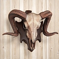 Sheephead Wall Decoration 3d model