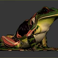 Vibrant Green Red Frog With Detailed Anatomical Structure And Lifelike Features