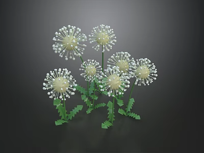 Dandelion Plants With White Fluffy Seed Heads Green Stems And Serrated Leaves 3d model