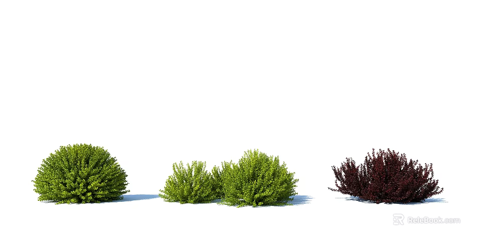 Different Kinds Of Shrubs With Green Red Foliage And Diverse Shapes For Landscaping 3d model 