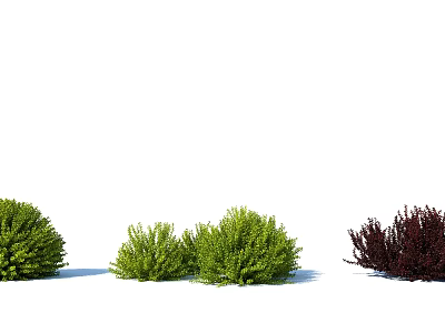 Different Kinds Of Shrubs With Green Red Foliage And Diverse Shapes For Landscaping 3d model