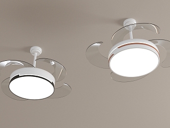 Modern fan light 3d model