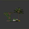 Green Ornamental Shrubs Palm Tree and Various Plants with Orange Fruits White Pots and Succulents
