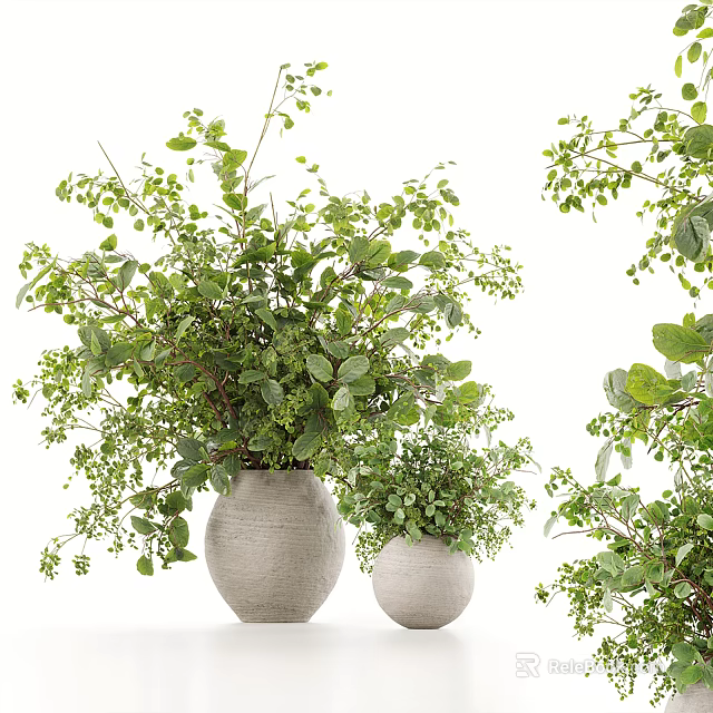 Gray Ceramic Vases With Fresh Green Foliage And Natural Style Plants Arrangement 3d model 