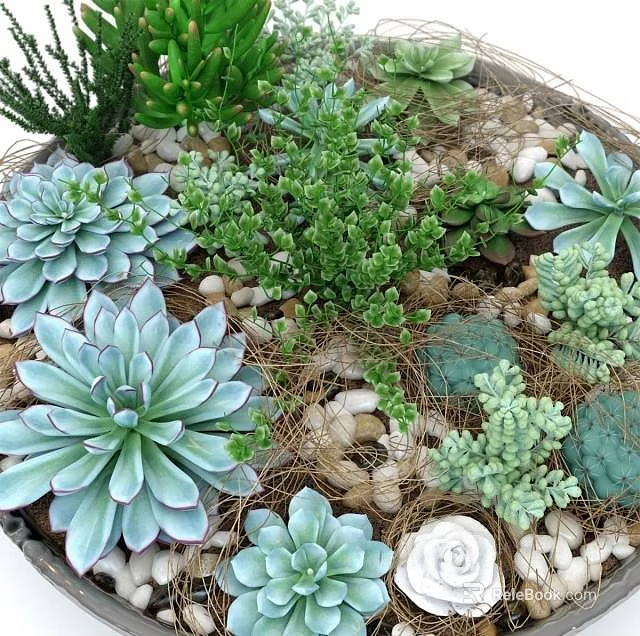 Colorful Succulent Plant Arrangement With Green Blue Varieties Small Stones And Moss 3d model 