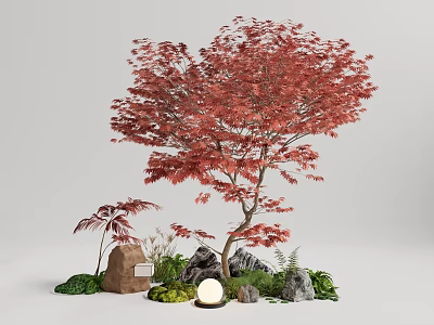 Natural Garden Ornament Featuring Red Maple Tree Small Palm Tree Stones Green Plants And Lamp 3d model