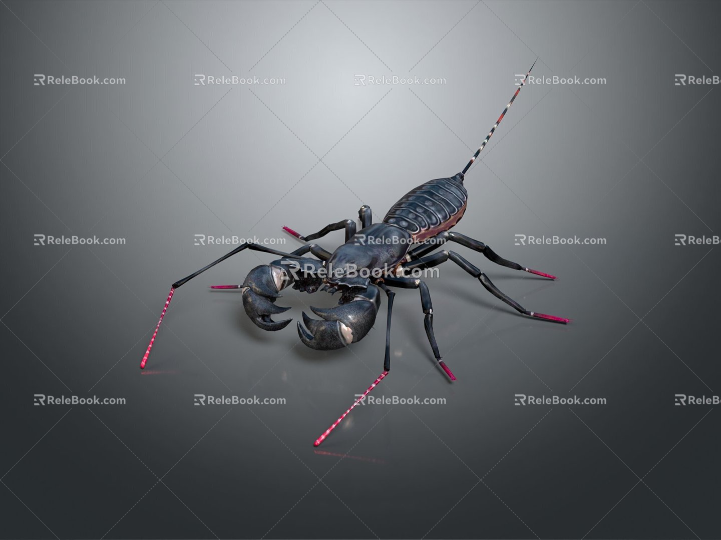 Modern Scorpion Beetle Beetle Vinegar Scorpion 3d model