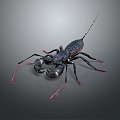 Modern Scorpion Beetle Beetle Vinegar Scorpion 3d model