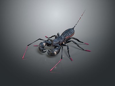 Modern Scorpion Beetle Vinegar Scorpion 3d model