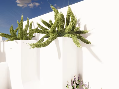 Green Bonsai Potted Plants On White Wall With Blue Sky And Purple Flowers 3d model