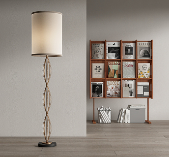 Modern Floor Lamp Bookshelf Books 3d model