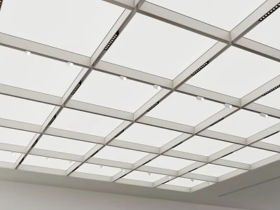 Modern Grid Ceiling Design With White Panels Metal Frames And Recessed Lighting 3d model
