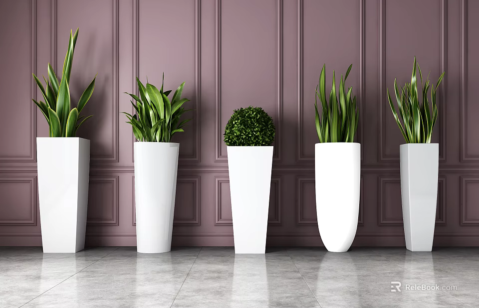 Bonsai Potted Plants In White Pots Against Purple Paneled Wall Indoor Modern Decor 3d model 