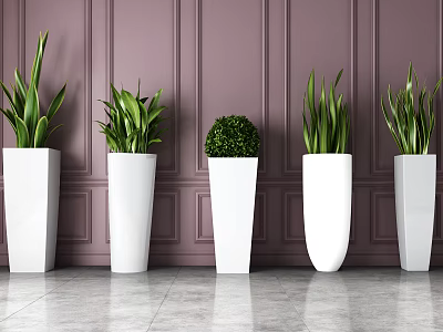 Bonsai Potted Plants In White Pots Against Purple Paneled Wall Indoor Modern Decor 3d model