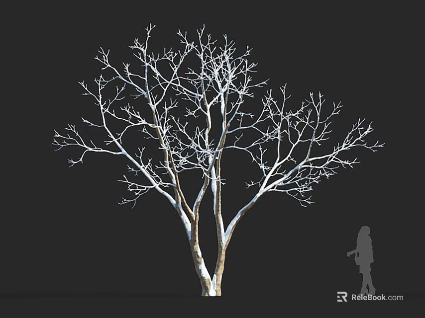 Deciduous Tree With White Branches Against Black Background And Human Silhouette 3d model