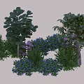 Diverse Green Plants Purple Blue Flowers With Tall Plants And Low Shrubs In Natural Garden