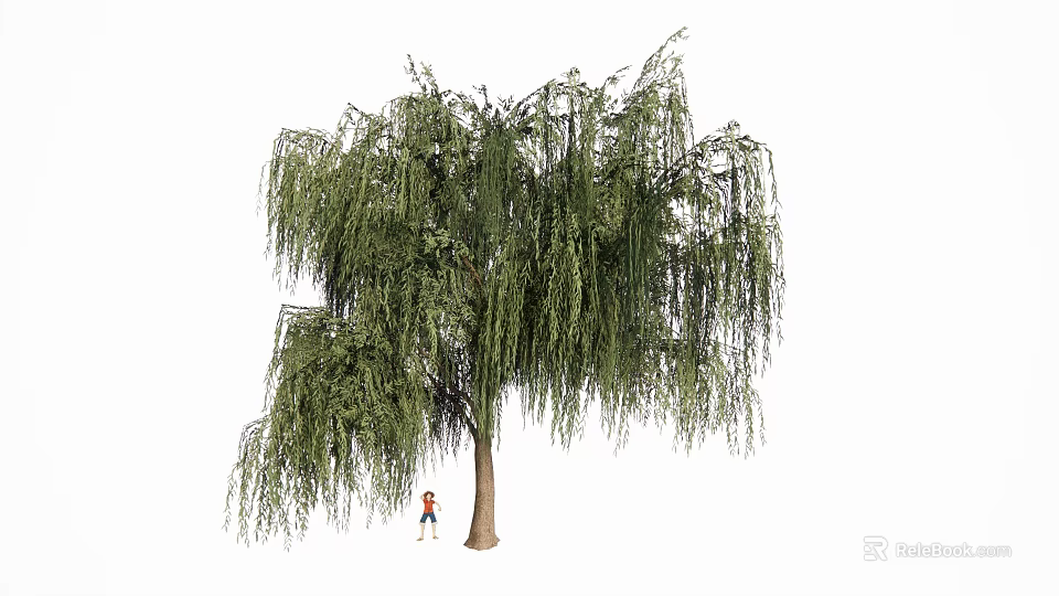 Tall Weeping Willow Tree with Long Hanging Branches Green Leaves and Small Figure 3d model 